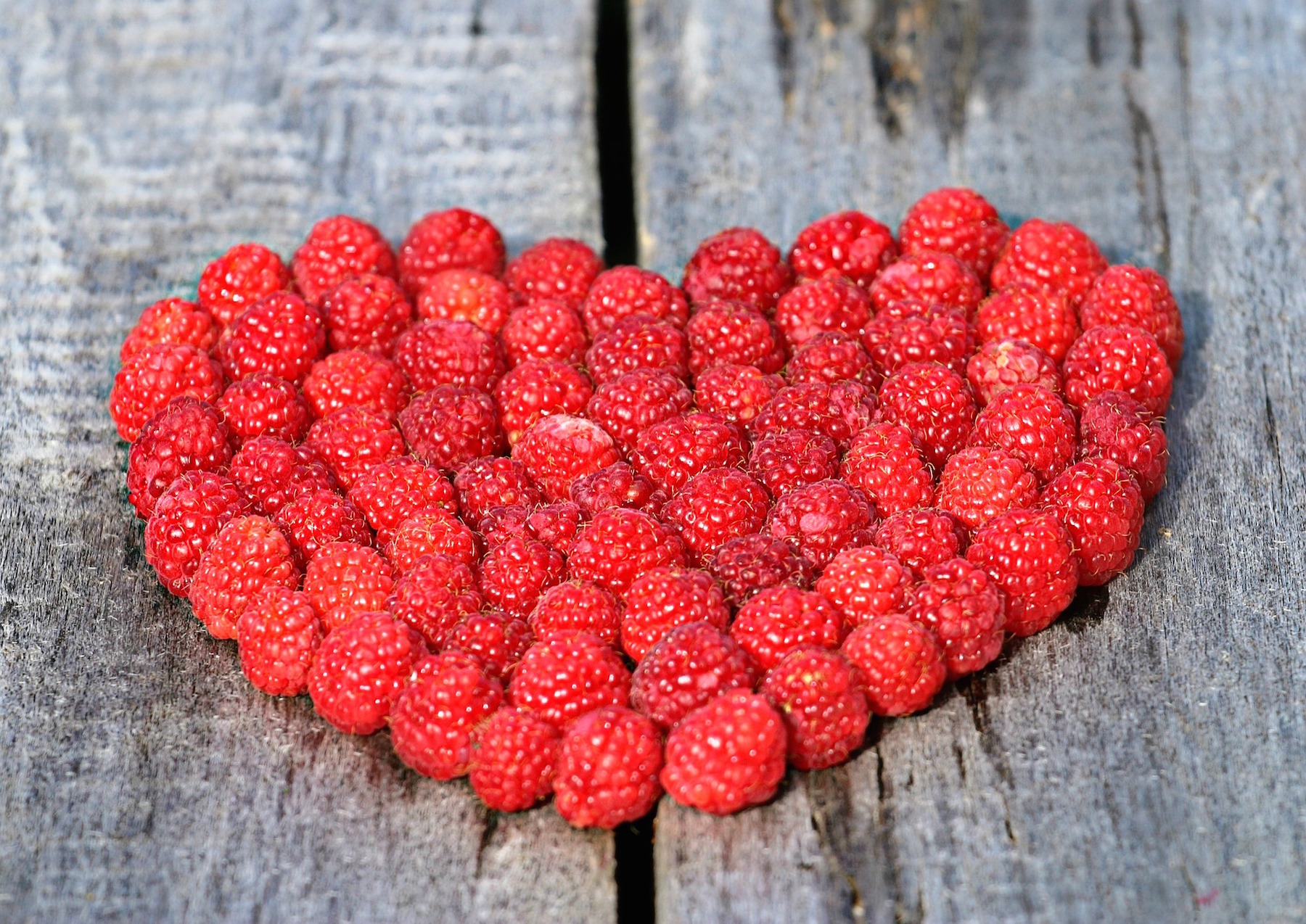 Chocolate Raspberry Walnut Chia Pudding