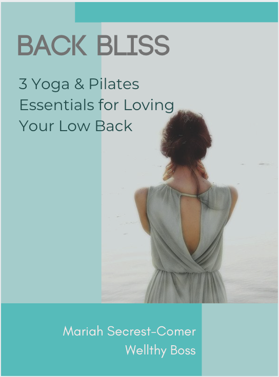 Back Bliss eBook