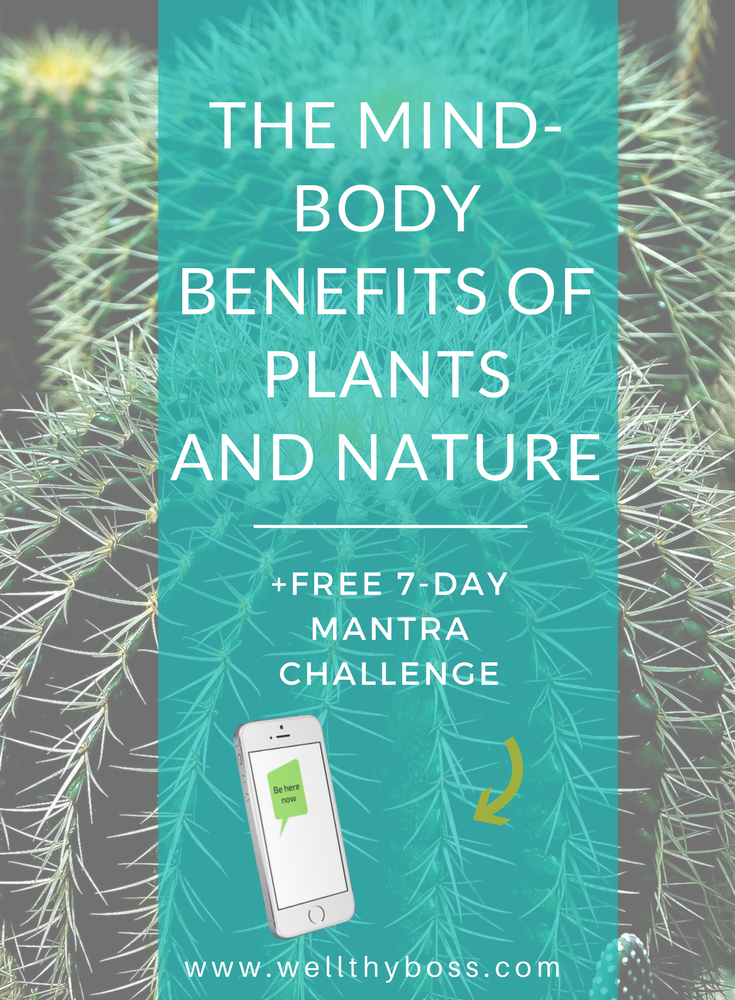 The Mind-Body Benefits of Plants and Nature
